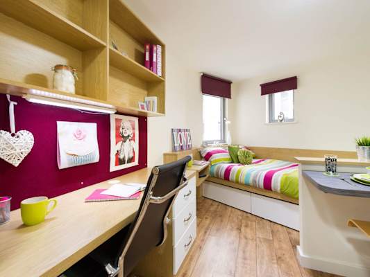 Gold Studio room type